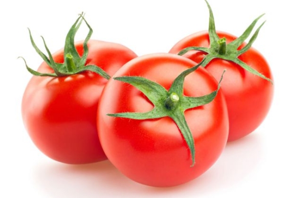 8329_tomato.jpg (28.9 Kb)