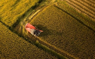 Зміни клімату подарують українським аграріям унікальні можливості. Що відомо