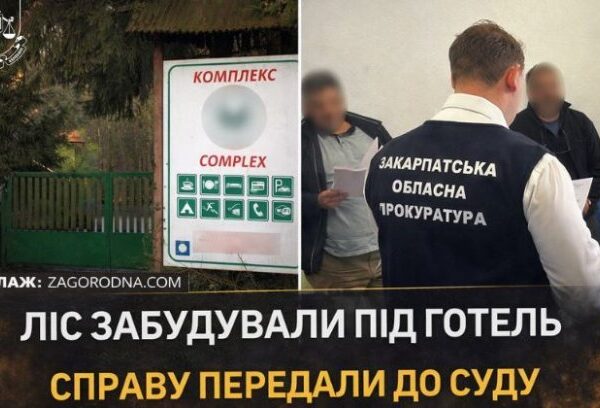 UA Finansy 46 Ліс під забудову: чому це ризиковано для інвесторів