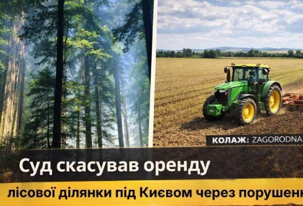 UA Finansy 54 Ціни на новобудови: чи варто інвестувати зараз?