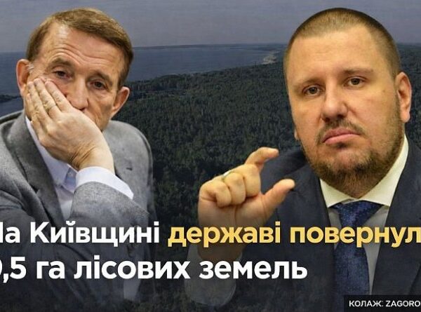 Київщина: ліс у забудову повернуто державі. Інвестиції?