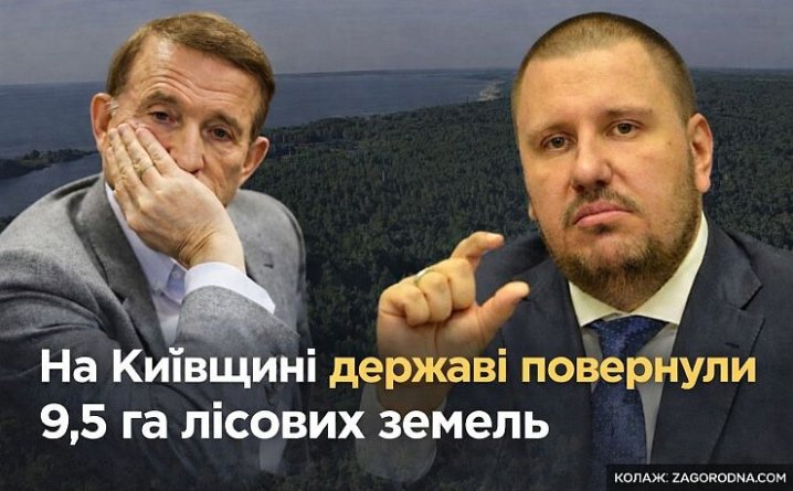 Київщина: ліс у забудову повернуто державі. Інвестиції? 2