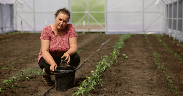 Доходи в українських аграрних родинах знизилися