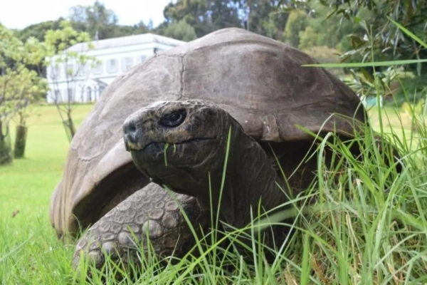 UA Finansy 40 Memecoin на Solana злетів на 1400% через фейкові новини про…