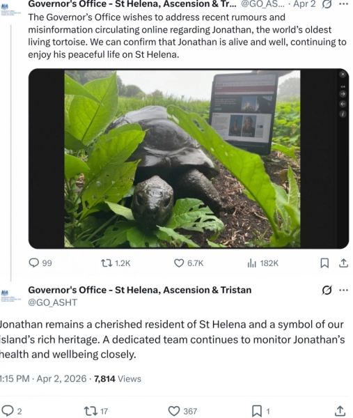 Memecoin на Solana злетів на 1400% через фейкові новини про смерть черепахи 6 Memecoin на Solana злетів на 1400% через фейкові новини про смерть черепахи 6