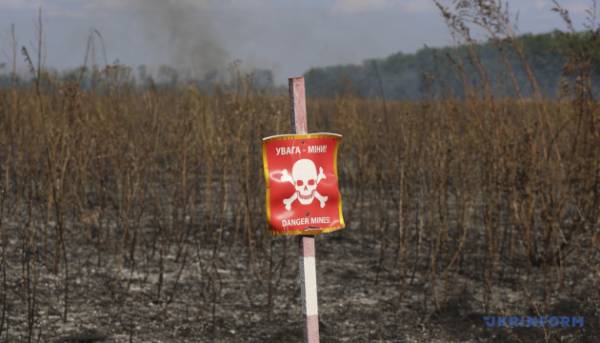 Бюджет-2024: допомога, ВВП, податки