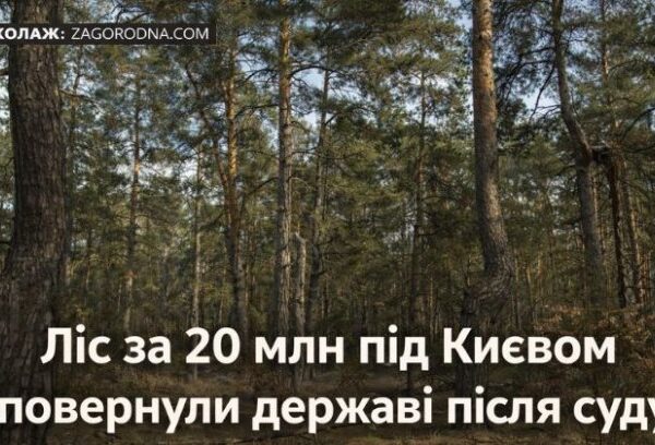 UA Finansy 34 Ліс під Києвом: інвесторам про ризики забудови