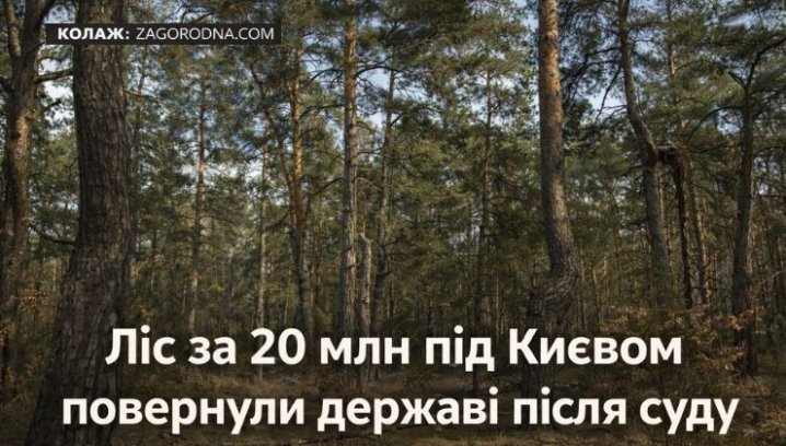 UA Finansy 15 Ліс під Києвом: інвесторам про ризики забудови