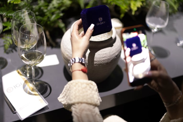 Onoky: інвестиції в курортну нерухомість Закарпаття 14