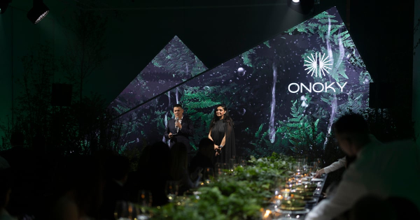 Onoky: інвестиції в курортну нерухомість Закарпаття