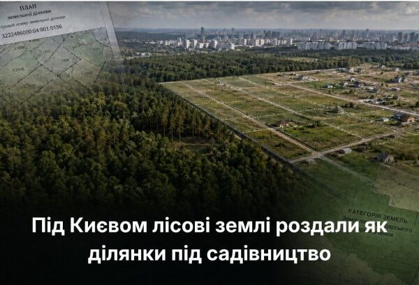 Девелопери Києва: де зростання цін, де стагнація?