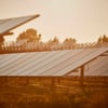 "Кернел" оптимізує флот: продаж балкера та зміна логістики 5