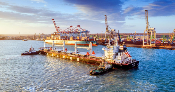 UA Finansy 35 MSC придбав 51% терміналу TIS: вплив на українську логістику