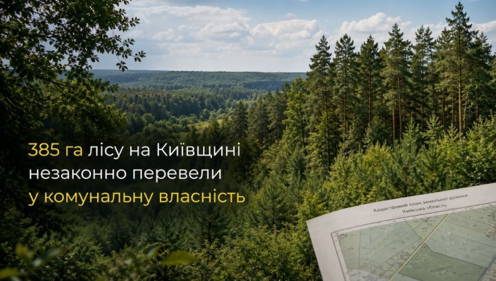 UA Finansy 75 Київщина: ліс у власність. Як інвестору оцінити ризики?