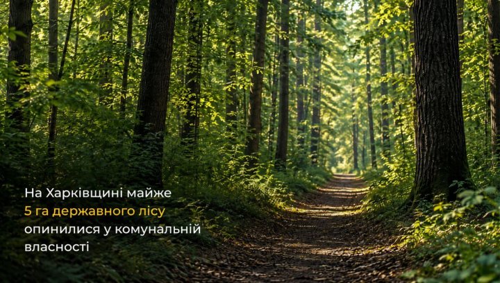 Харківщина: ліс під забудову? Інвесторам увага! 1 Харківщина: ліс під забудову? Інвесторам увага! 1