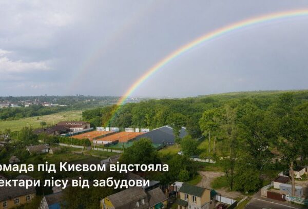 UA Finansy 40 Чи виграв ліс? Інвесторам варто знати.