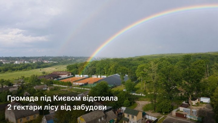 UA Finansy 74 Чи виграв ліс? Інвесторам варто знати.