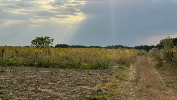 Чи може сусід зайняти вашу землю, якщо вона не приватизована