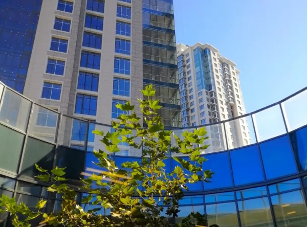 City One Development: Результати роботи та огляд первинного ринку житла за 2024 рік
