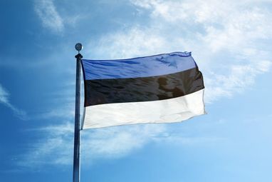 Естонія: захист для українців продовжено до 2028 року