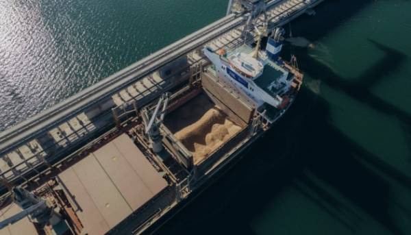 Бюджет-2024: агросектор під ударом, експорт залежить від допомоги