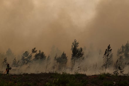Франція, Іспанія: спека викликає пожежі 14
