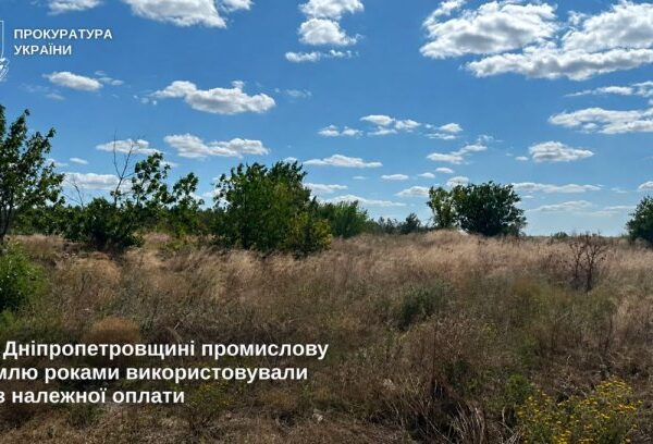 Дніпропетровщина: Земельні оборудки та втрати для бюджету