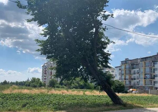 Львівщина: 30 млн грн за землю під багатоповерхівку