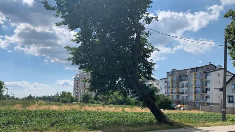 Львівщина: 30 млн грн за землю під багатоповерхівку 2