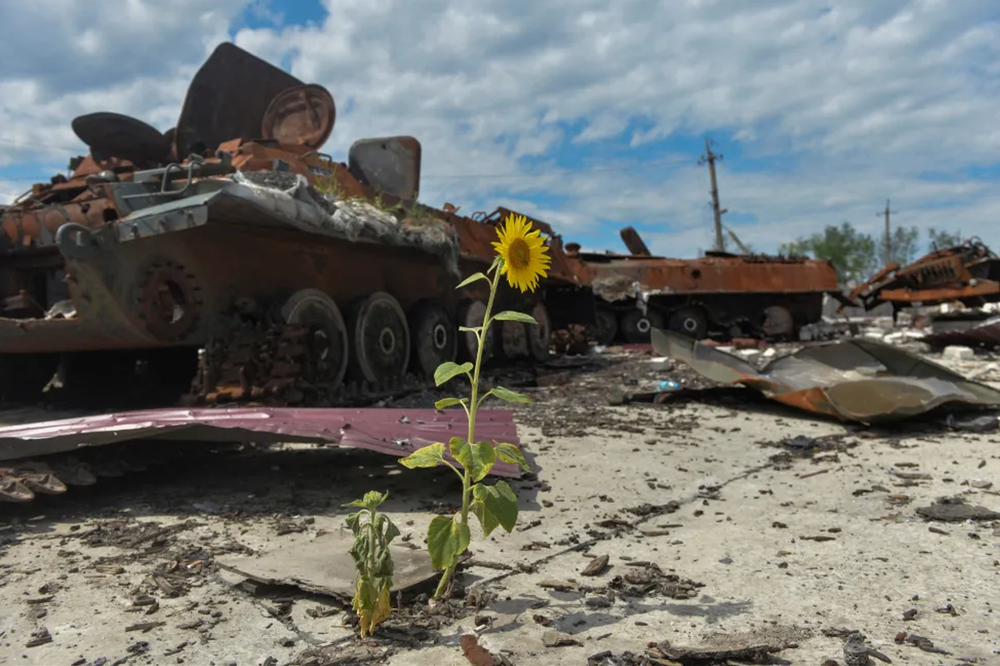 Рашкован: 5 ключових кроків для відбудови України 24