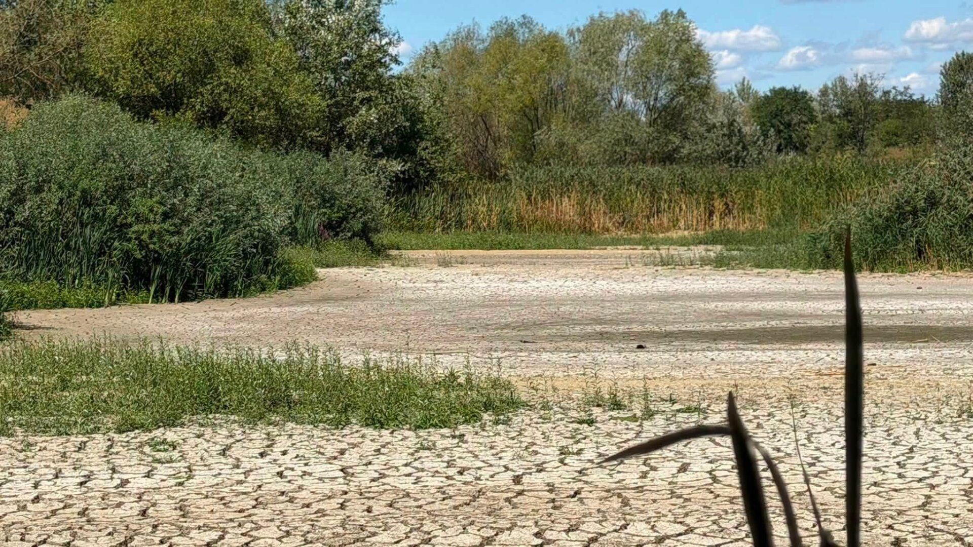 Чорне озеро Ужгорода: 3 ключові загрози для водойми 4 Чорне озеро Ужгорода: 3 ключові загрози для водойми 4