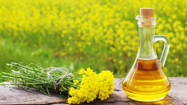 У сезоні 2025/26 частка переробки ріпаку всередині країни сягнула 43%, порівняно з 16% за попередній рік, повідомив міністр.