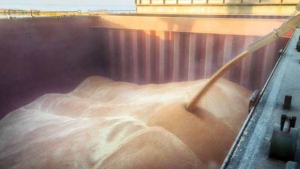 Уряд змінив мінімально дозволені ціни при експорті певних сільськогосподарських товарів
