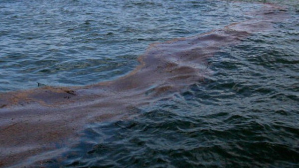 Oman seeks to limit environmental damage following oil spill from tanker