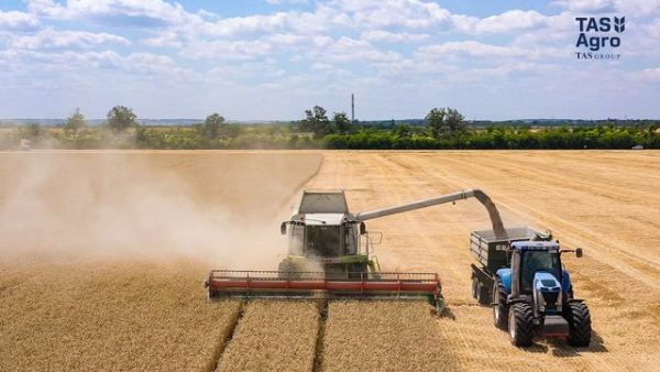 “ТАС Агро” завершила збір ранніх зернових та олійних культур на 33,5 тисячі гектарів