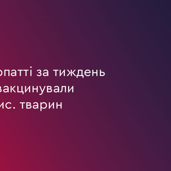 Майже 4 тис. тварин на Прикарпатті вакцинували від сказу
