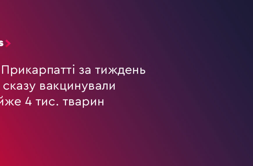 UA Finansy 95 Майже 4 тис. тварин на Прикарпатті вакцинували від сказу