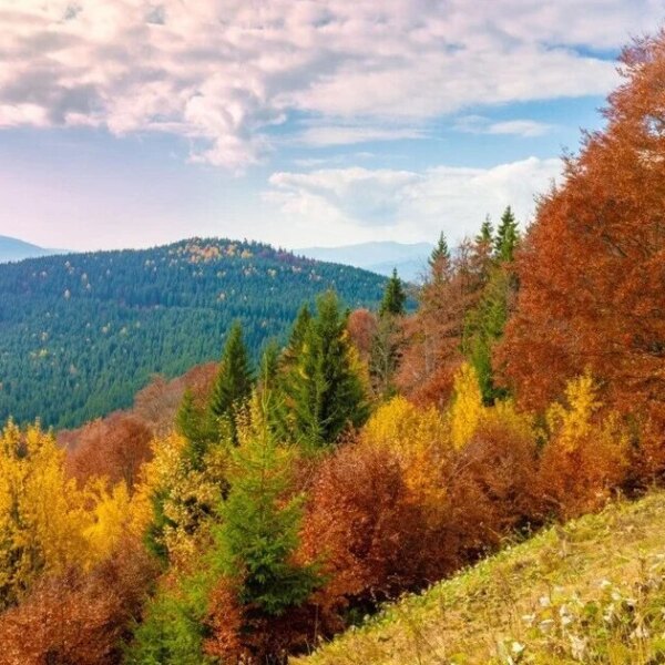 Карпати восени: 5 найкращих місць для незабутнього відпочинку