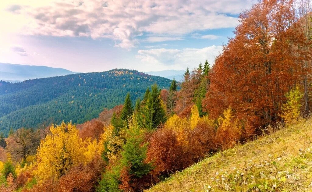 Карпати восени: 5 найкращих місць для незабутнього відпочинку 5